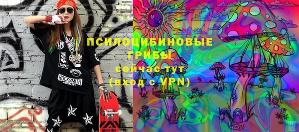прущая мука Алзамай