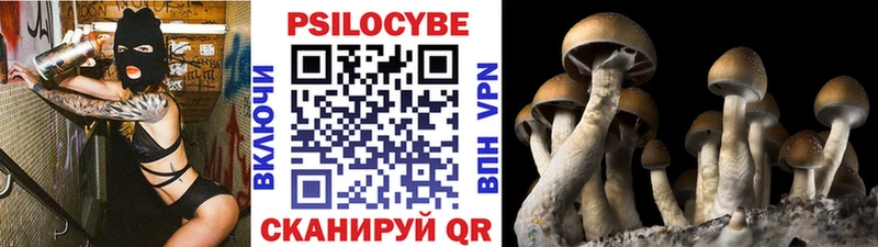 Галлюциногенные грибы Magic Shrooms наркота Емва